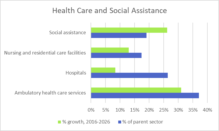 Health Care and Social Assistance Industry Segments