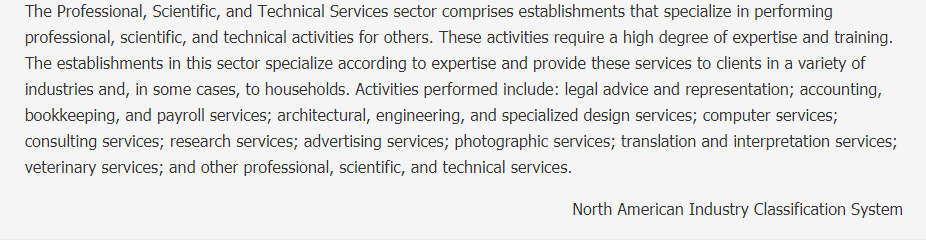 Professional, Scientific, and Technical Services Description